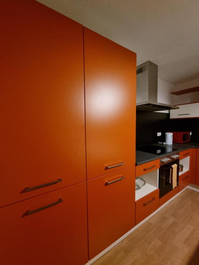 Cozy Nest Apartment Залцбург Екстериор снимка