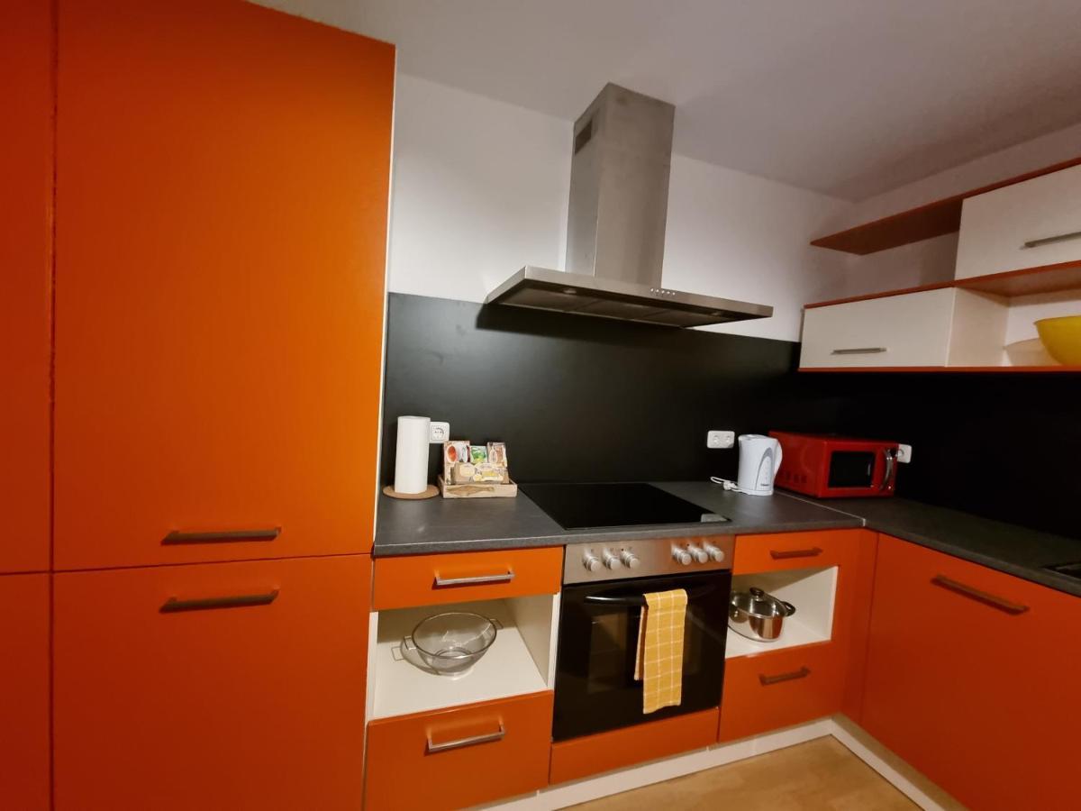 Cozy Nest Apartment Залцбург Екстериор снимка